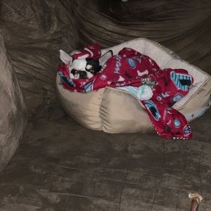 Meet your Posher, Lindsey